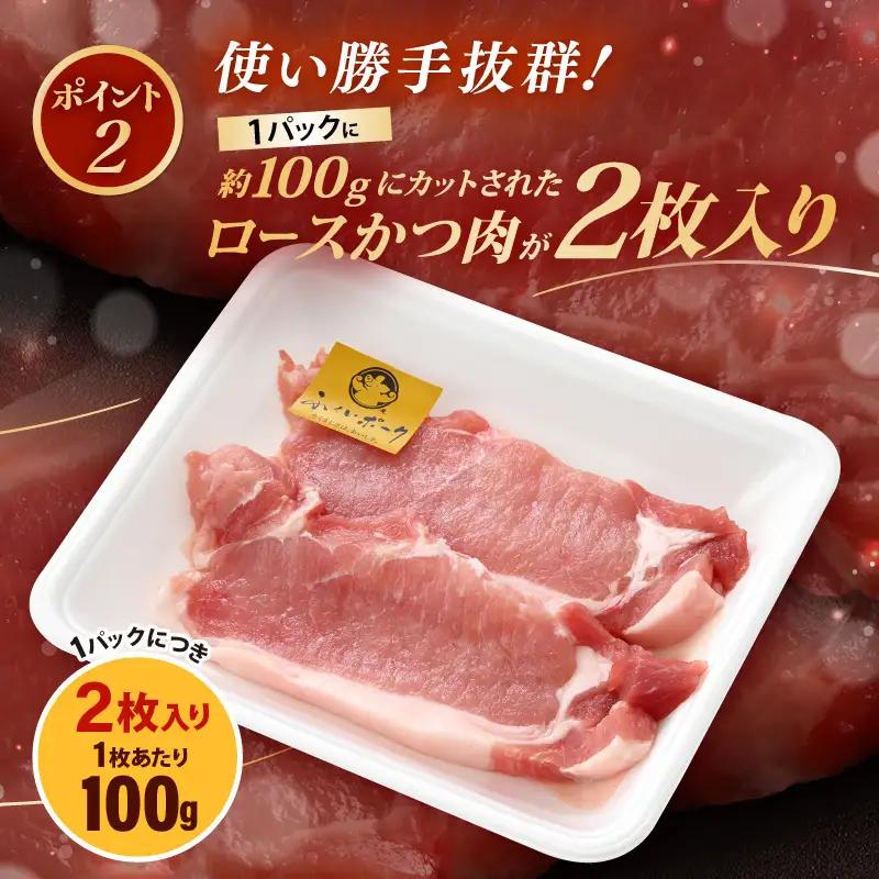 【ブランド豚】ふくいポーク 100g × 4枚 合計400g（2枚入 × 2p）国産豚肉 冷凍 カツ [e02-a040]