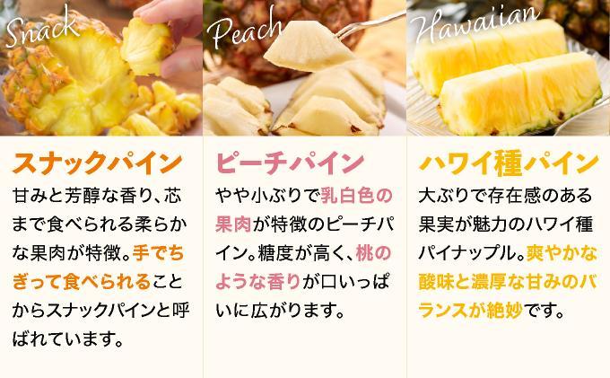 【訳あり】 石垣島産 パイナップル 詰め合わせ 約8kg (6～20個)《2026年4月下旬から発送》 | ふるさと納税 パイナップル 産地直送 フルーツ 果物 パイン 石垣 沖縄 沖縄県石垣市 石垣