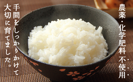 新米＜令和7年産 西予市産 特別栽培米 エコえひめ コシヒカリ 白米 約5kg＞国産 精米 農薬・化学肥料不使用 一等米 約5キロ 愛媛県産 こしひかり お米 米 コメ 産地直送 送料無料 シゲちゃん