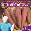 【ふるさと納税】【 よしのいも 】井上さつま 「 紅はるか 」 M・Lサイズ 約5kg ( 土付き ) 完熟 さつまいも いも おいも 焼き芋 芋 おやつ まごころ野菜よしの