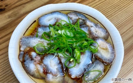 【花光】【あわじ島冬の珍味！身の柔らかい赤ナマコを活きたまま発送】淡路島産 赤なまこ（活）約800ｇ