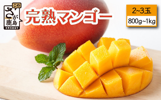 B-118【生産者直送】濃厚完熟!まっちゃんマンゴー（2～3玉 800g～1kg程度）【2026年5月中旬頃から6月初旬発送】
