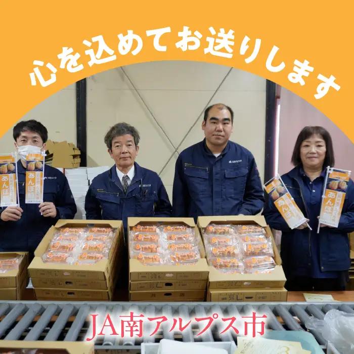 ＜2026年発送先行予約＞あんぽ柿「百目柿」 ALPAA025