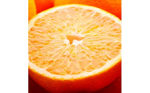 
                  厳選 はっさく10kg+250g（傷み補償分）［八朔みかん］［光センサー選別］［IKE27］
                