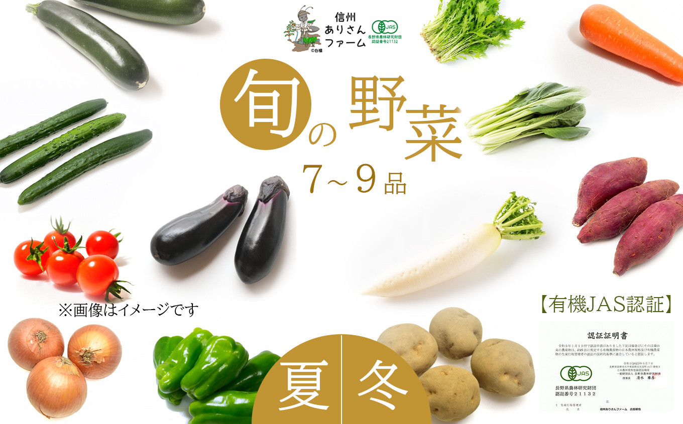 
信州ありさんファーム 旬の野菜 7～9品 【有機JAS認証】 | 野菜 ベジタブル 夏野菜 詰め合わせ セット 有機栽培 オーガニック 有機JAS ビタミンC 食物繊維 健康 美容 信州 特産品 千曲市 長野県
