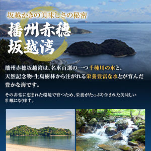 定期便 牡蠣 生食用 坂越かき 殻付き 20～25個《3ヶ月連続お届け》 成林水産 [ 生牡蠣 真牡蠣 かき カキ 冬牡蠣 ]