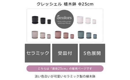 植木鉢 Φ25 crescere クレッシェル 選べるカラー セラミック 約 8号 フラワーポット プランター 鉢 受け皿 大型 観葉植物 おしゃれ くすみカラー ガーデニング用品 ガーデニング 園芸 インテリア 兵庫 兵庫県 小野市 グレージュ