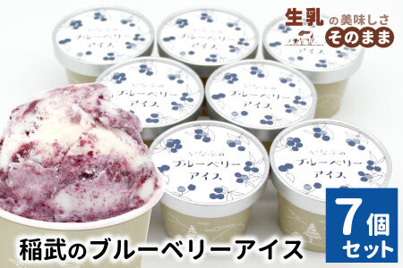 〈即日発送〉無農薬！皮ごと使用！ブルーベリー アイス×7個入り アイスクリーム ブルーベリー スイーツ
