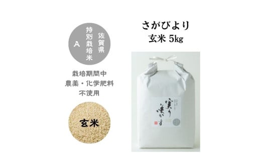 【令和6年産】「実り咲かす」農薬・化学肥料不使用 さがびより 玄米5㎏［A0106-0008］