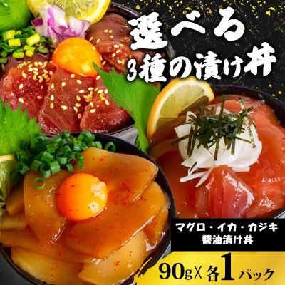 ふるさと納税 須崎市 醤油 漬け丼 90g×各1パック