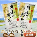 【ふるさと納税】 令和6年産【定期便】特別栽培米 ひとめぼれ 玄米 選べる容量（5kg・10kg）・発送回数（3・6・12回） 毎月1回中旬発送 | 山形県 鶴岡市 無洗米 白米 ブランド米 特産品 お取り寄せ お米 おこめ