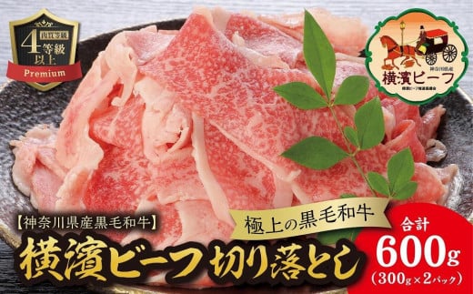 
【神奈川県産黒毛和牛】かながわブランド認定　極上の黒毛和牛　横濱ビーフ　切り落とし　300g×2
