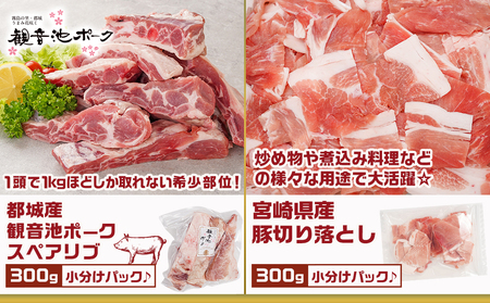 豚肉バラエティ6種4.1kgセット※訳あり入り_AC-9218_(都城市) 都城産豚 観音池ポーク ロース・肩ロースしゃぶしゃぶ用/ミンチ/スペアリブ/【訳あり】ロースとんかつ用 訳あり 宮崎県産豚切