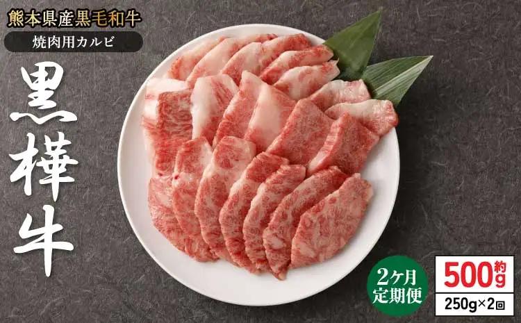 【1ヶ月毎2回定期便】黒毛和牛 黒樺牛 焼肉用カルビ 計約500g (約250g×2回) 杉本本店