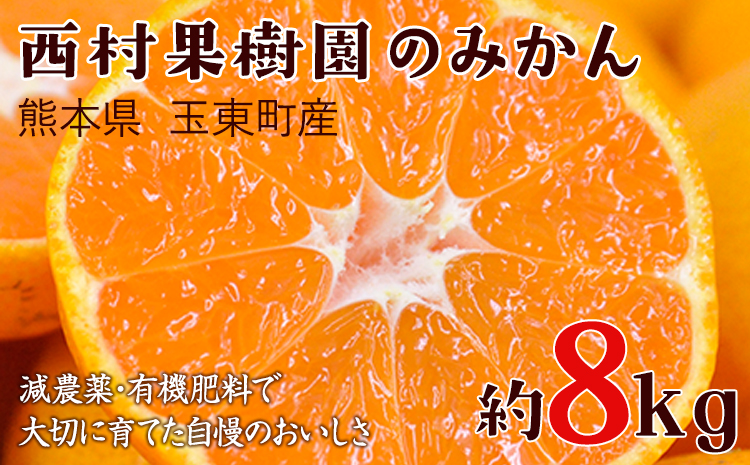 『西村果樹園』のみかん★約8kg(2S-2Lサイズ) 予約受付中 フルーツ 秋 旬★熊本県玉名郡玉東町 みかん 減農薬・有機肥料で育てた自慢のおいしさ！《10月上旬-1月下旬頃出荷(土日祝除く)》