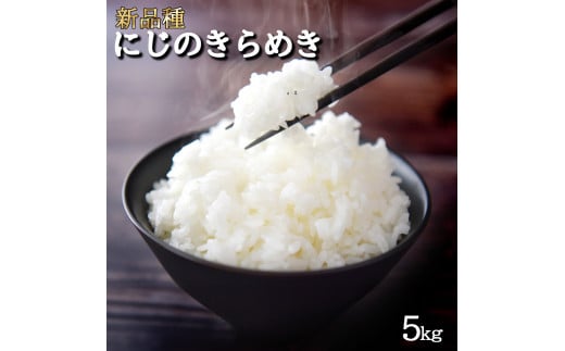 【ふるさと納税】新米　にじのきらめき　お米5kg 発送早い　訳あり 風の谷ファーム 香川県　三豊市　お米　5Kg　送料無料　コスパ 秋 旬