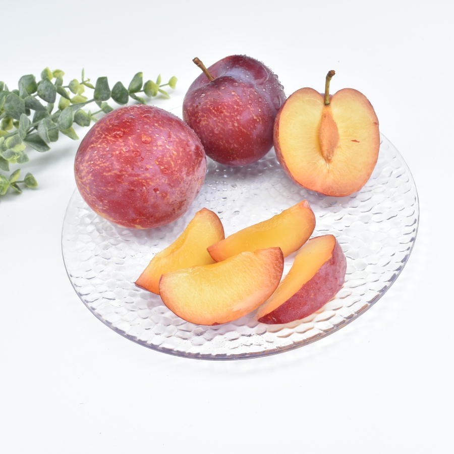 ＜南脈風花＞高級スモモ「貴陽」L、2L　1.6kg