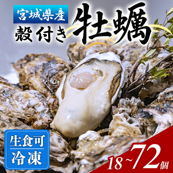 【ふるさと納税】殻付き牡蠣（生食用）冷凍 選べる個数 18個〜72個（約1.5kg～6kg） 生牡蠣 宮城県産 牡蛎 牡蠣 カキ かき 生食 オイスター カキフライ 牡蠣鍋 海鮮 国産 魚貝類 バーベキュー BBQ【末永海産株式会社】ta679・ta680・ta681