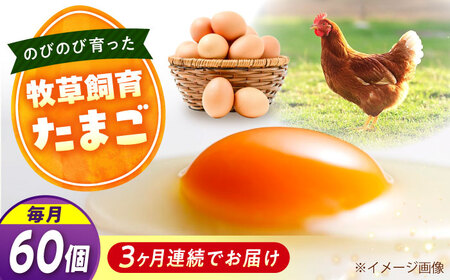 【全3回定期便】天心山 たまご 60個（10個入り×6パック） 卵 たまご 高級 食品 たまごかけご飯 卵かけご飯 卵焼き 生卵 濃厚 ケーキ お菓子 づくり ランキング 上位 人気 おすすめ 定期便　広島県福山市/天心山ファーム[BABW038]