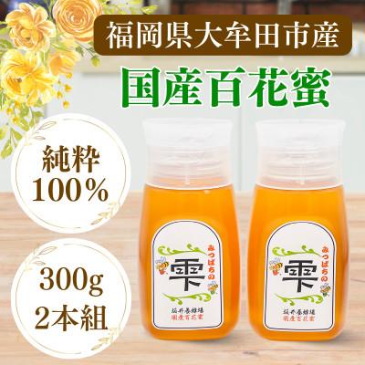 ふるさと納税 大牟田市 みつばちの雫　300g×2個セット　国産蜂蜜