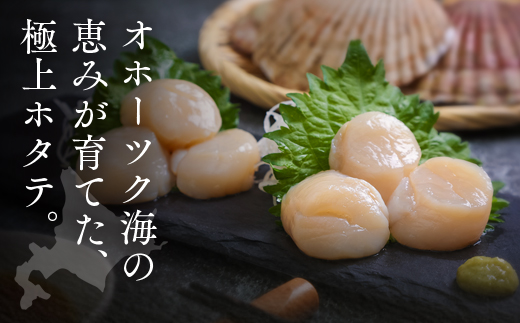 1月発送　オホーツク海産ホタテ貝柱3kg　en01-00337