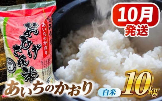 【10月発送】あいちのかおり 白米 10kg 愛西市 / 脇野コンバイン 米 お米 コメ [AECP002-1]
