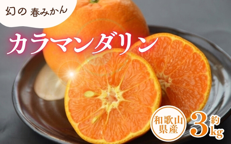 カラマンダリン 約3kg/サイズおまかせ　※2026年4月上旬～2026年5月上旬頃に順次発送予定(お届け日指定不可)　紀伊国屋文左衛門本舗　【kztb471A】