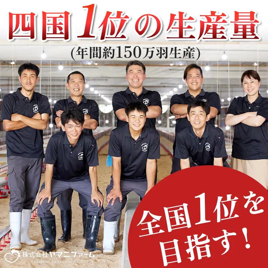 国産 鶏むね肉 約2.3kg (約230g×10P) 低脂質 高たんぱく 冷凍 小分け よさこい尾鶏