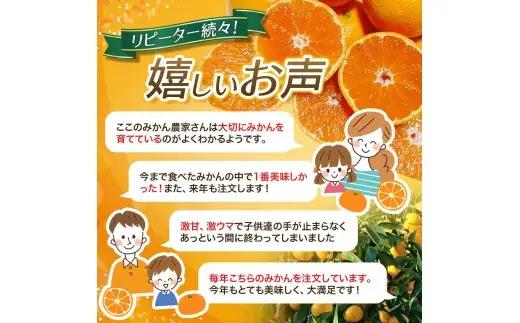 薄皮で濃い甘さ！完熟由良みかん【秀】3kg×1箱（混サイズ）和歌山県由良産※2026年11月下旬頃から12月下旬頃に順次発送予定 / 柑橘 ミカン 蜜柑 甘い 由良町 フルーツ 果物 くだもの 食品 