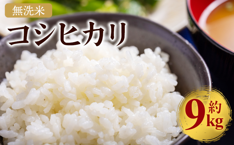 令和7年産 無洗米 コシヒカリ 計約9kg cs-0004