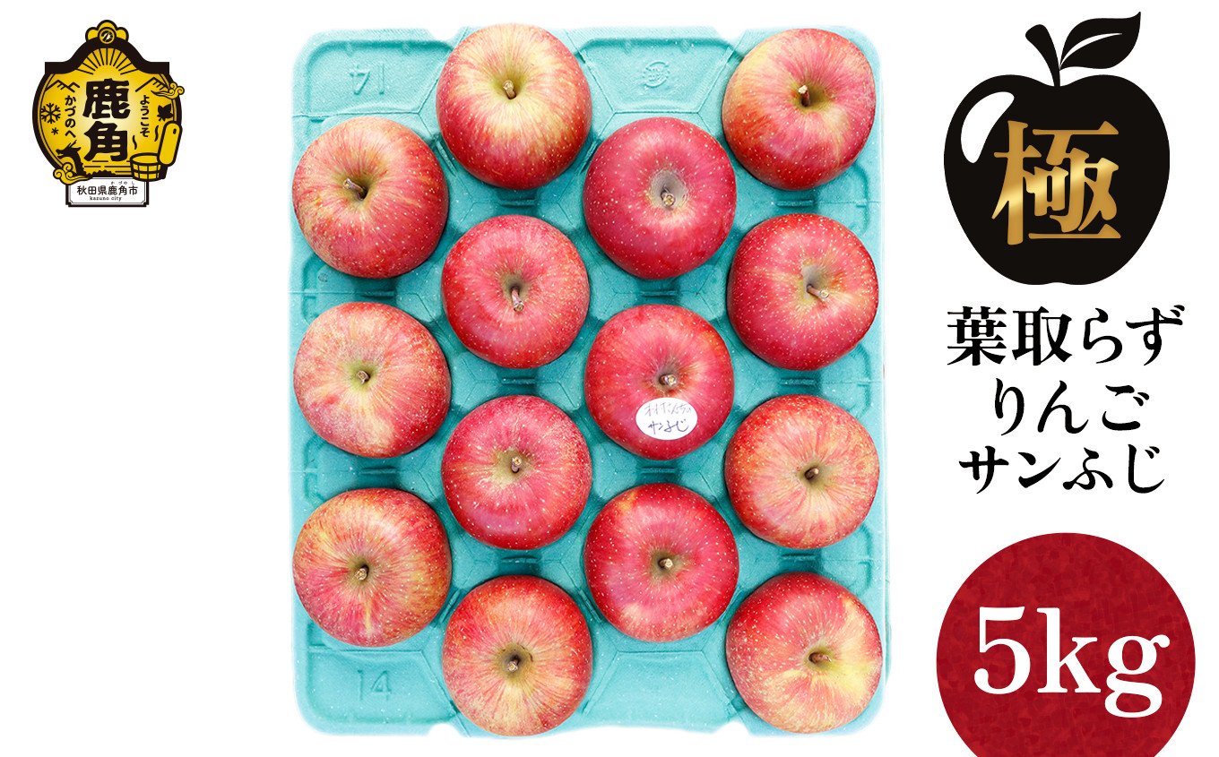 
            《 先行予約 》《極》葉取らずりんご！ サンふじ 5kg（13～20玉）【録政園】●2025年11月中旬発送開始 葉とらず みずみずしい 果汁 リンゴ 林檎 完熟 旬 県産りんご お中元 お歳暮 贈り物 お見舞い グルメ ギフト 故郷 秋田県鹿角市産 送料無料
          