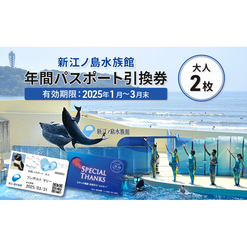 チケット 神奈川 【新江ノ島水族館】年間パスポート引換券(大人2枚) 有効期間2025年1月～3月末まで 水族館 パスポート 入場券 江ノ島 藤沢市 神奈川県 プレゼント ギフト