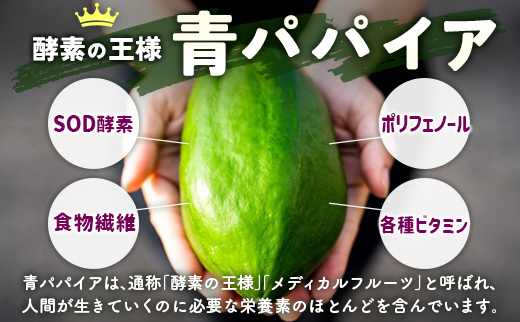 酵素の王様青パパイア ドリンクセット 全4種 国産 バラエティ ヘルシー グリーンパパイア パパイヤ【A322】
