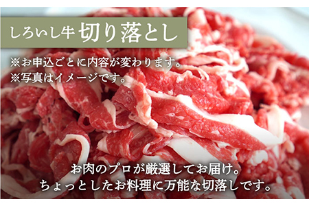 手ごねハンバーグ 4個＆しろいし牛 切り落とし 1000g（500g×2パック）/ ハンバーグ 牛肉切り落とし [IAH108]