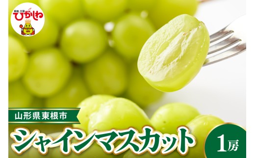 【2026年産 先行受付】 東根市産シャインマスカット 約700g(1房入)  ベジフルひがしね 山形県 東根市 hi104-001