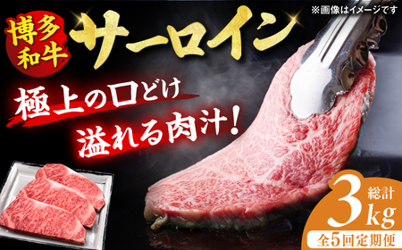 【全5回定期便】博多和牛 サーロイン ステーキ 200g×3枚 / 肉 ステーキ 牛肉 ステーキ 肉 ステーキ 牛肉 [AFBV010]