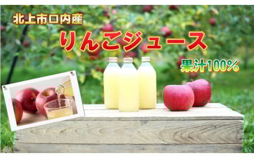 果汁100％ リンゴジュース （ 335ml×5本 ）岩手県 北上市 A0169 金成園 りんご 林檎 ストレートジュース 果物 フルーツジュース おやつ お土産 お歳暮 お中元 お祝い 子供 ファミリー 学校 幼稚園 保育園