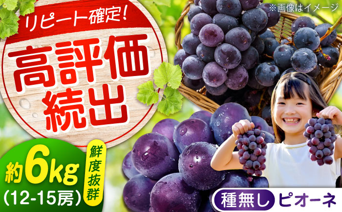 期間限定/8月下旬～9月上旬頃発送 沼隈ぶどう「ピオーネ」 約2kg×3 (12～15房)種なし 広島県福山市/福山市農業協同組合　沼隈グリーンセンター ぶどう ブドウ 葡萄 種なし 大粒 [BAEV007]