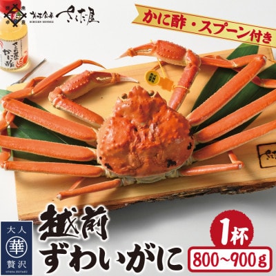 浜茹で越前ずわい約800～900g　1杯　かに酢＆かにスプーン付き【配送不可地域：離島】【1404911】