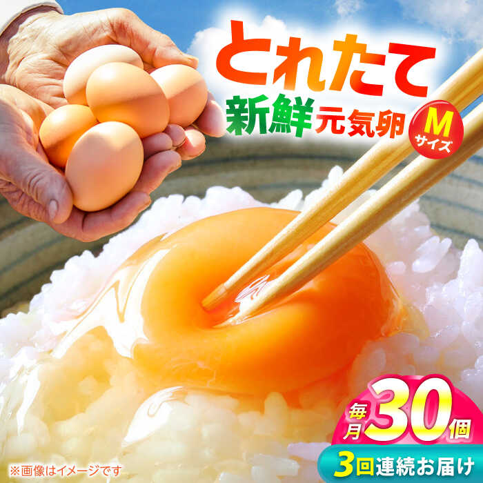 【ふるさと納税】【3回定期便】お茶と海藻で健康育ち 元気卵 90個（30個×3回） / 卵 定期便 たまご タマゴ 玉子 鶏卵 / 亀山市 / 藪本養鶏園 [AMBH002]
