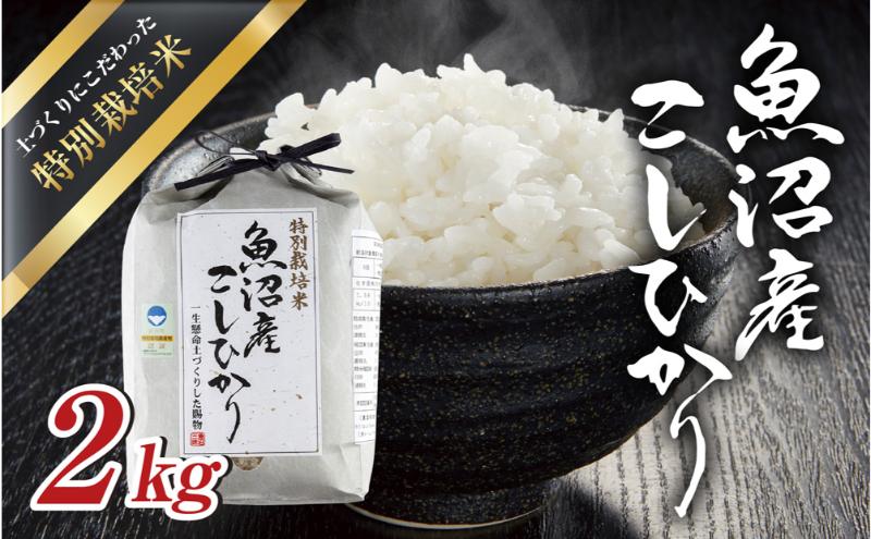 令和6年産新米　魚沼産 コシヒカリ 特別栽培米 2kg 米 こしひかり お米 コメ 新潟 魚沼 魚沼産 白米 送料無料 新潟県産 精米 産直 産地直送 契約農家 お取り寄せ 魚沼三昧 川治米店 新潟県 十日町市