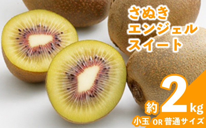 
            先行予約 キウイ 約2kg 約2.2kg キウイフルーツ さぬきエンジェルスイート 果物 果実 フルーツ 旬 デザート 選べる 容量 11月上旬～12月上旬 配送 家庭用 贈答用 ギフト プレゼント 香川県 丸亀市
          