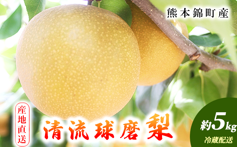 梨 旬 5kg 先行予約 2025年発送 平野果樹園 錦の梨