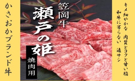 B-07 瀬戸の姫（焼肉用）たにもとふぁむ《45日以内に出荷予定(土日祝除く)》