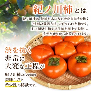 先行予約！  紀の川柿 （果実の中身が黒い！黒蜜柿）希少栽培！ 秀品６個～９個  こだわり農家厳選！【※2026年10月上旬から11月上旬頃発送】/ 和歌山県 かつらぎ町 カキ 柿 太秋柿 紀ノ川柿 