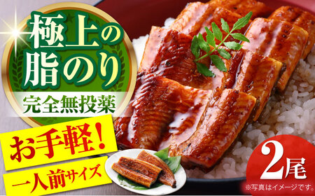 高知県産 うなぎ蒲焼き 約90g×2尾 タレ付き / うなぎ 鰻 ウナギ 国産うなぎ 【株式会社 四国健商】 [ATAF064]