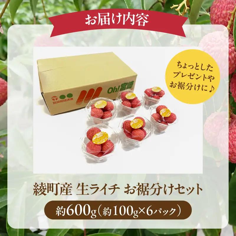 先行予約 数量限定 希少 綾生ライチ お裾分け セット 600g 果物 フルーツ くだもの 国産ライチ 2027年 トロピカルフルーツ 南国フルーツ 冷蔵 ジューシー 高級 デザート ギフト 贈り物 