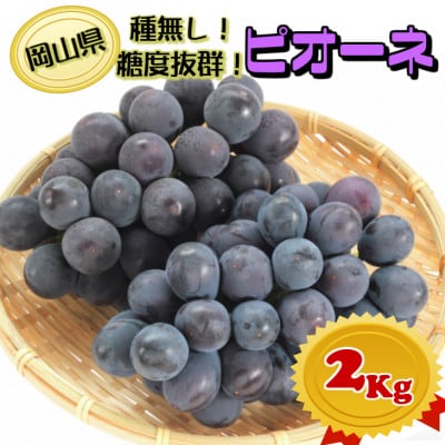 【2026年発送】糖度抜群ぶどう【秀品】岡山産!種なしピオーネ2kg以上(3～4房)　ギフトにも【配送不可地域：離島】