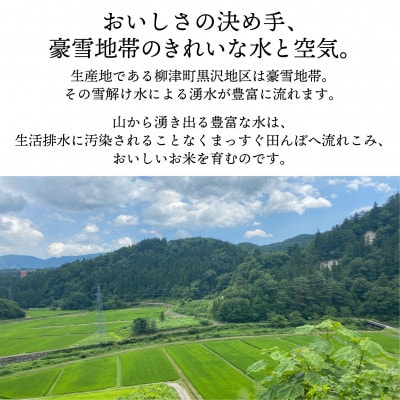 【令和6年産・精米】柳津町産のおいしいこしひかり「中山間のかがやき」5kg 〈10月末より順次発送〉