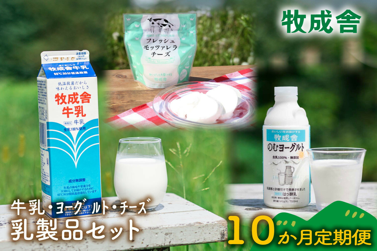 【ふるさと納税】【定期10か月便】牧成舎の牛乳・のむヨーグルト・モッツァレラセット（全3品）DF254
